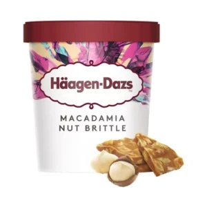 Haagen-Dazs macadamia nut Brittle 460ML